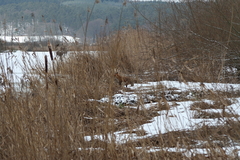 Killikus&reg; Fotographie